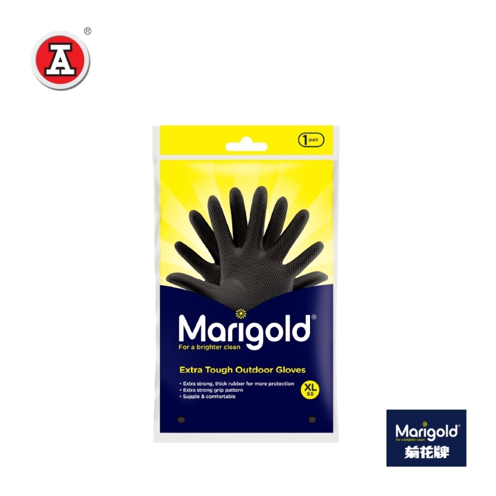 MG251328-cover1
